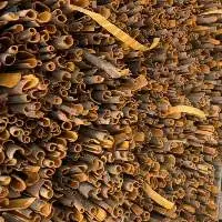 Cinnamon Stick Vietnam