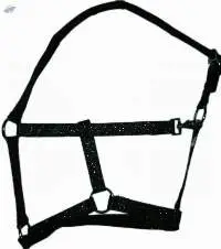 Glitter Horse Halter Black
