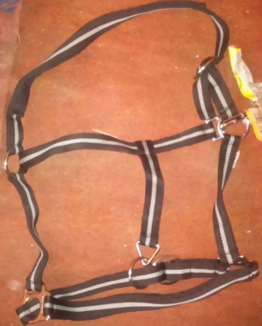 PP halter black white