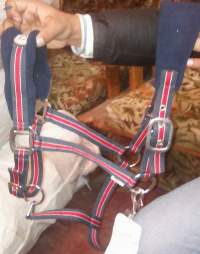 PP Halter With Padding Red  