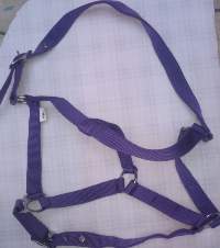 PP Halter Navy