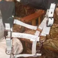 PP Halter With Padding White