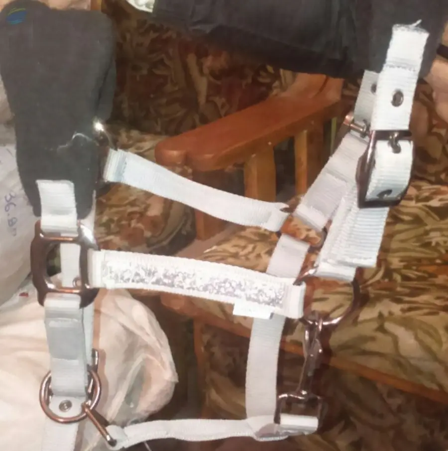 PP Halter With Padding White