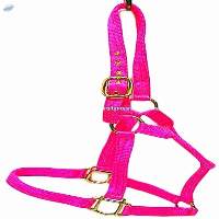 PP Halter Pink
