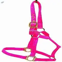 PP Halter Pink