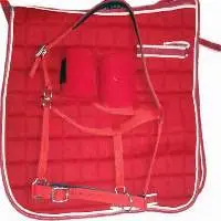 Dressage saddle pad with set