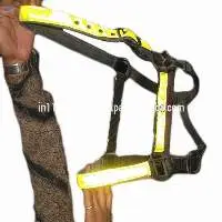 Reflective PP horse halter Golden