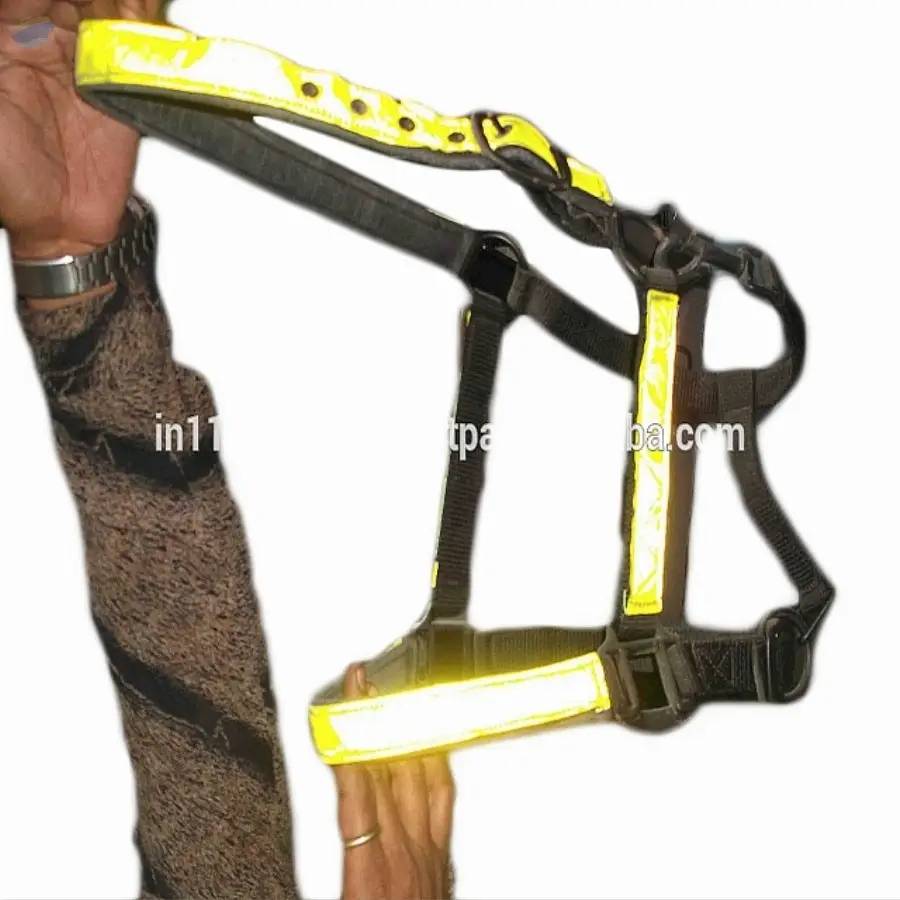 Reflective PP horse halter Golden