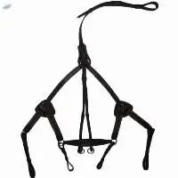 5 Point Leather Breastplate