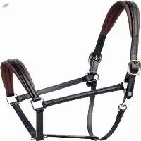 Black Rolled Leather Halter