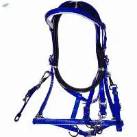 PVC Endurance Bridle With Reins Blue