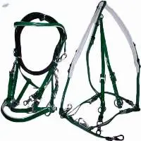 Endurance Bridle Set With Breastplate Green