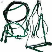 PVC Riding Bridle With Breastplate Green