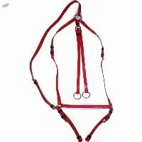 PVC Riding Breastplate Red
