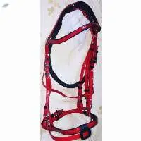PVC Riding Bridle With Rein Red