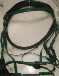 PVC Green Riding Bridle