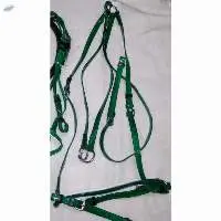PVC Riding Breastplate Green