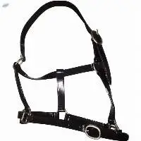 PVC Horse Halter Black