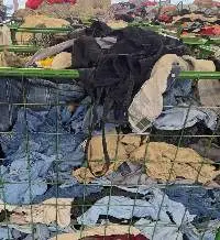 Used Denim, Jeans