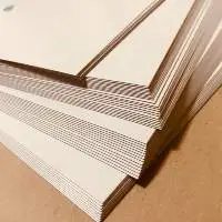 Cast Coated Board