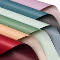 Mg Manila Board (white & Coloured)