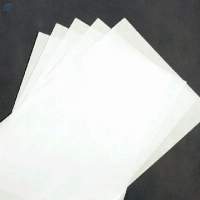 Bible Paper / Quran Paper