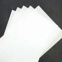 Bible Paper / Quran Paper