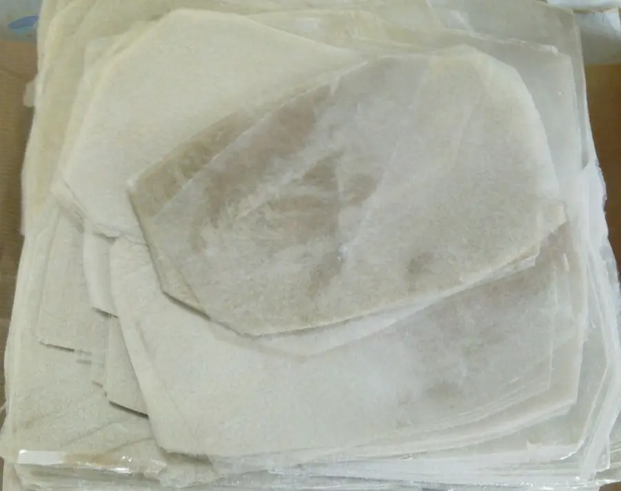 Phlogophite