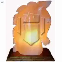 Himalayan Rock Salt Horse Head Shape Lamp