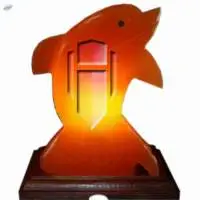 Himalayan Rock Salt Dolphin Shape Lamp