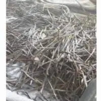 Extract Grade Vanilla Beans