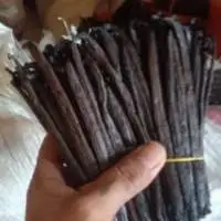 Vanilla Beans