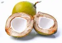 Young Coconut