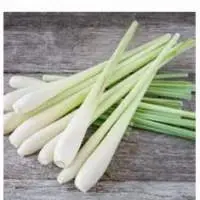 Lemongrass