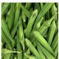 Okra (Lady's Finger)