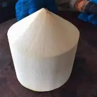 Fresh Coconut