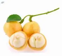 Burmese Grape (Mafia)
