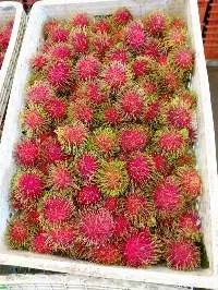 Rambutan (ngor)