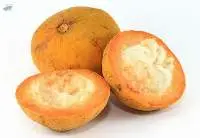 Santol (Kraton)