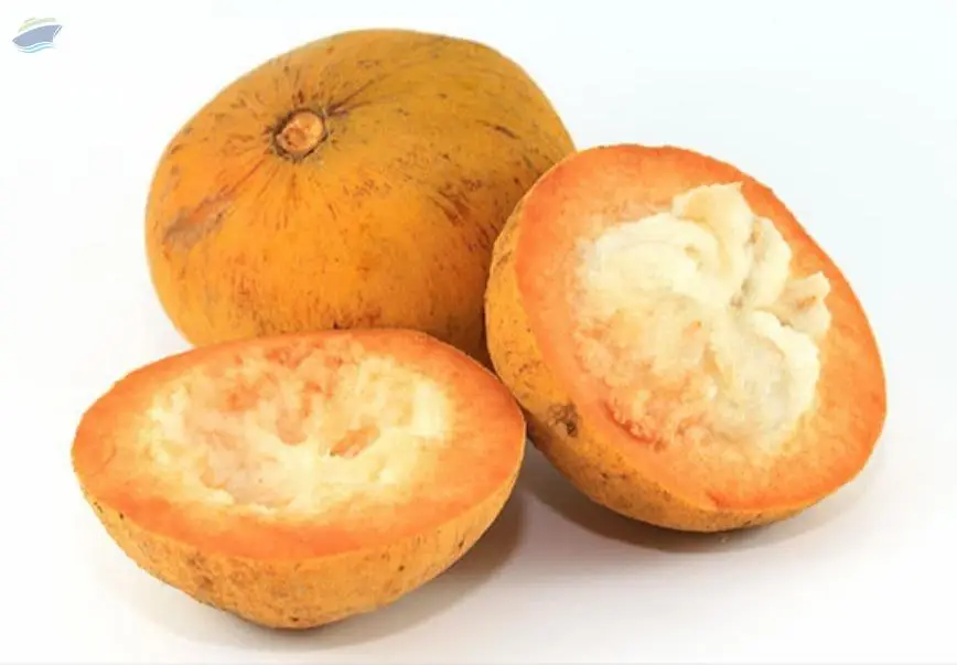 Santol (Kraton)