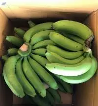 Thai Banana, Namwa Banana, Kluay Nam Wa