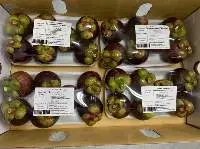 Mangosteen (Mongkut)