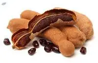 Sweet Tamarind (Makam Wan)