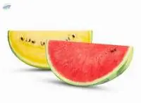 Water Melon (Tangmo)