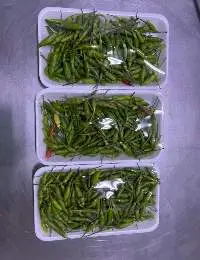 Bird's Eye Chili (Prik Kee Noo)