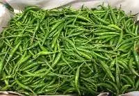 Green Chilli