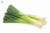 Leek (Kra-Thiam-Ton)