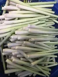 Lemongrass (Ta-Kai)