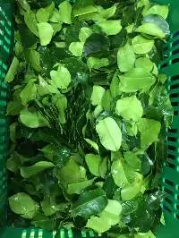 Lime Leaves