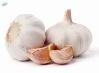 Thai Garlic (Kratiem)